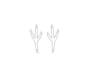 Bird Foot Print Indoor Floor Stickers / Graphics